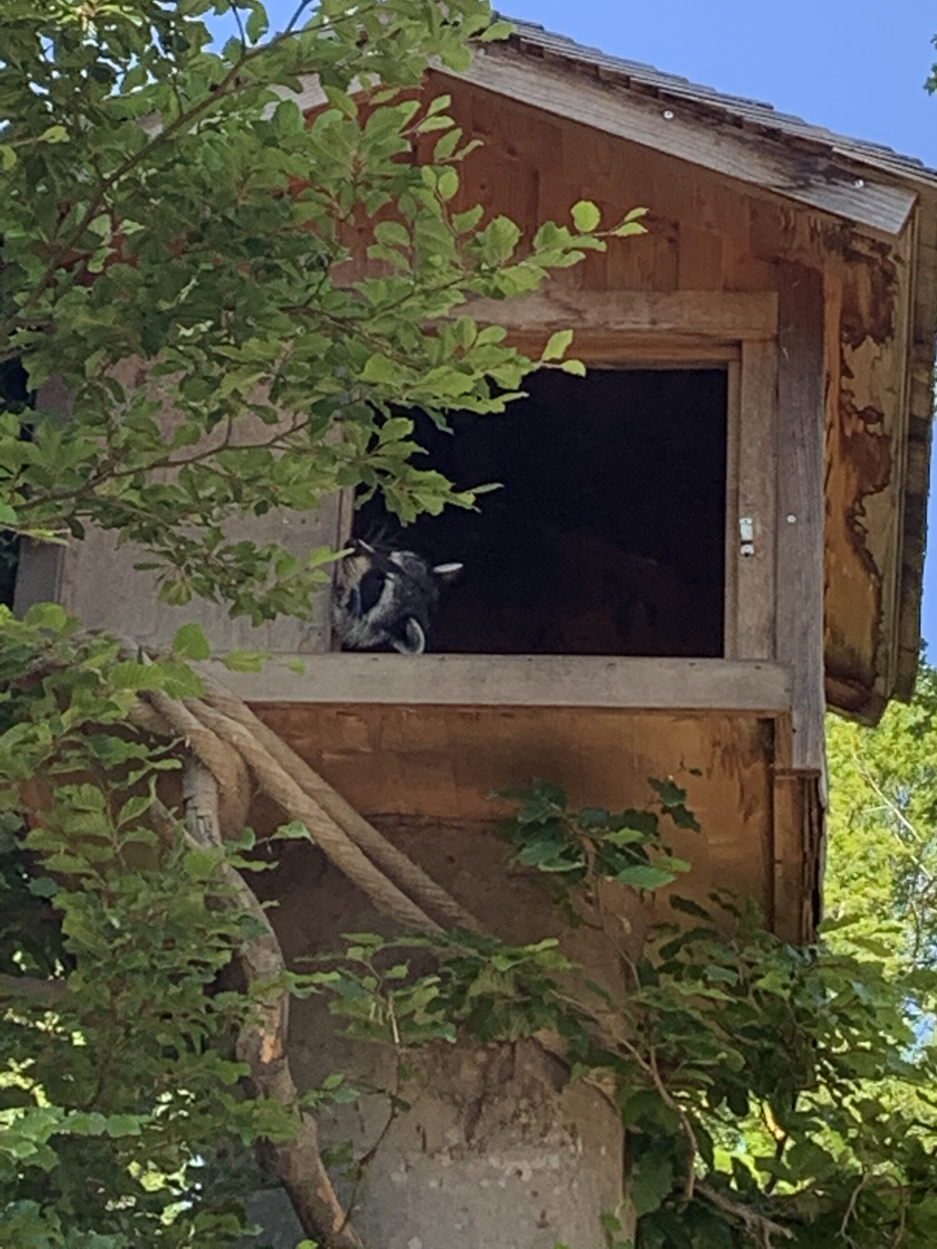 da ist jemand zuhause